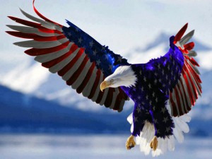 American-Flag-Eagle